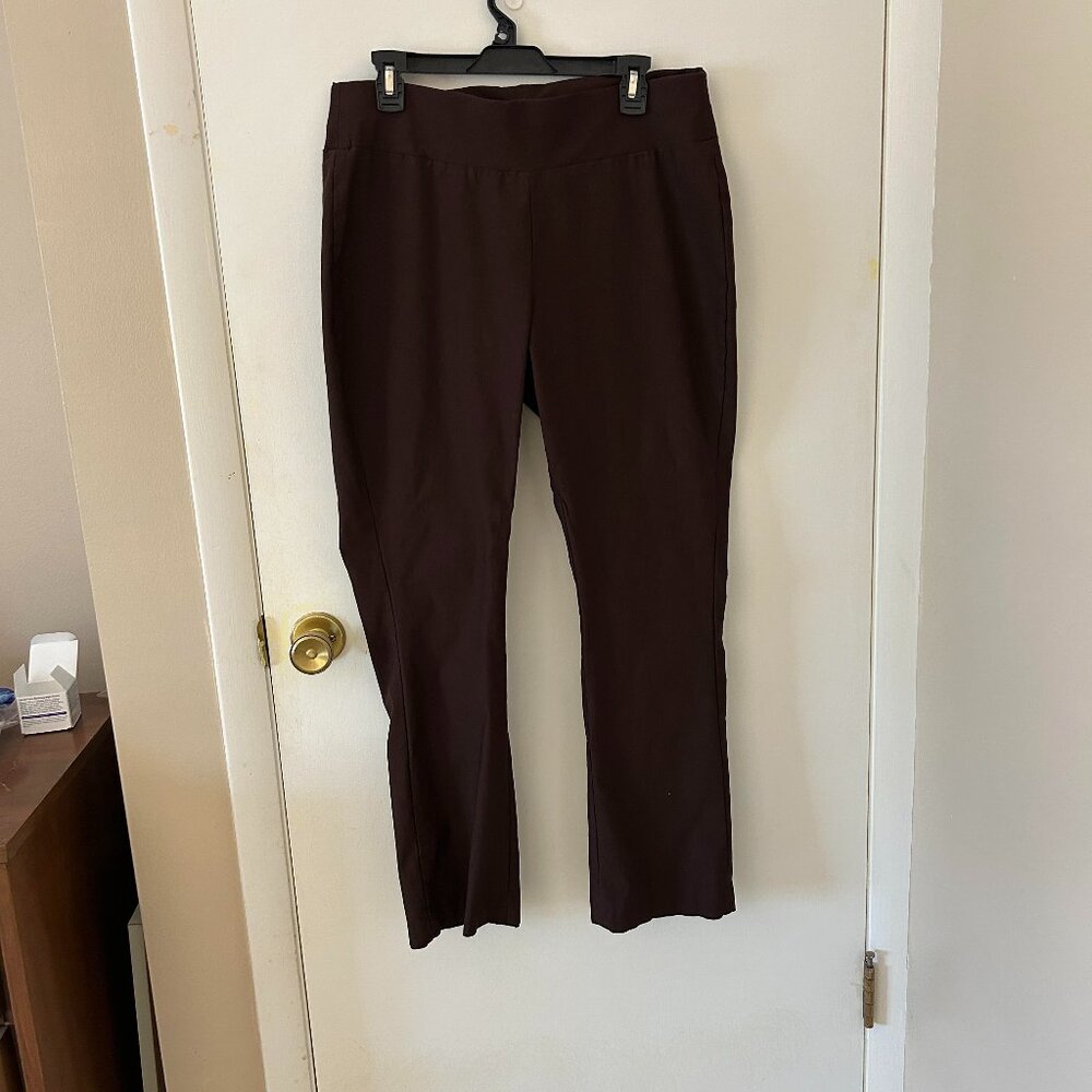 Chadwick's of Boston Size 16W Brown Bi-Stretch pull on Straight Leg Pants